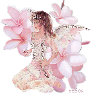 angel004 másolata